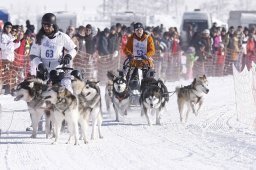 Lenk 2013